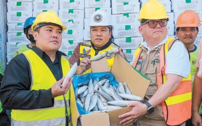 P202 Million Smuggled Mackerel Seized in Manila